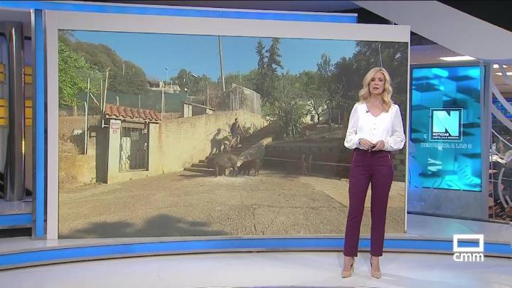 Castilla-La Mancha despierta