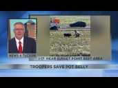 Troopers save pot belly near Sunset Point Rest area