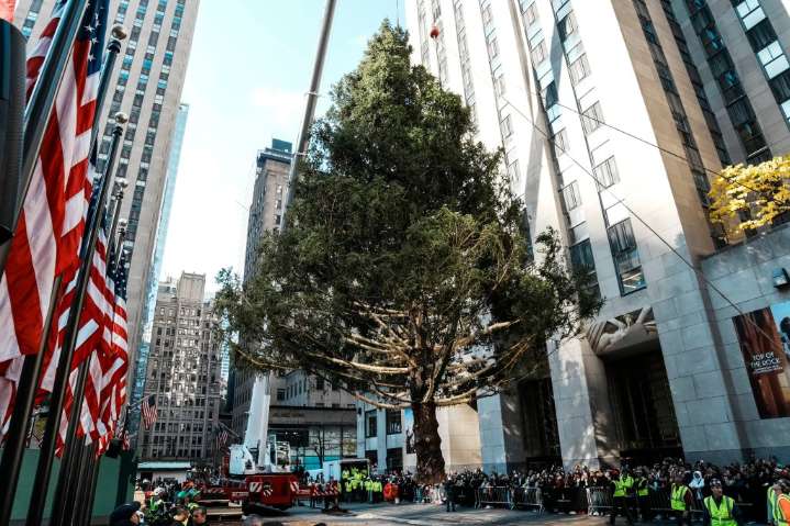 Rockefeller Center Tree Lighting: When is it? How to watch?