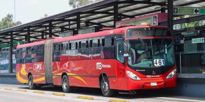 Horarios y estaciones afectadas en Metro y Metrobús por el Día de la Virgen de Guadalupe