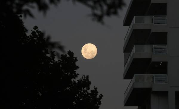 Superluna de diciembre: a qué hora se podrá observar en Argentina