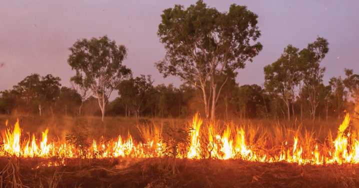 Snohomish County Adopts Community Wildfire Protection Plan