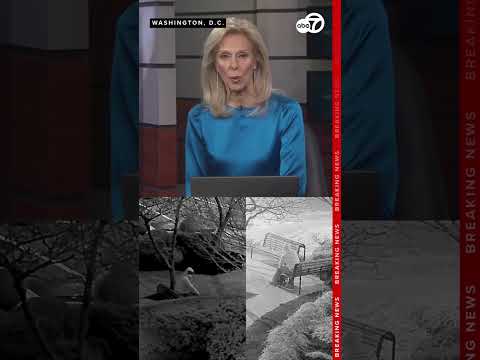 FBI arrests suspect connected to Jan. 6 pipe bombs in DC