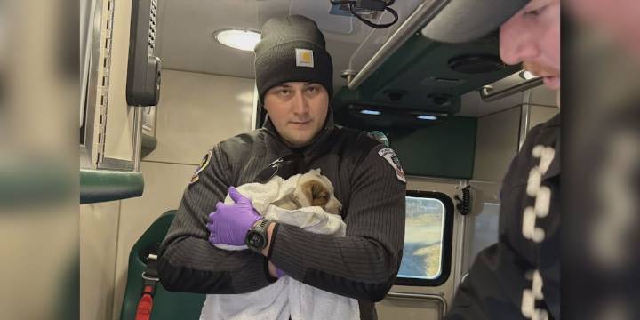 Puppies rescued from burning home outside Denver