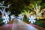 Here are the best places to see holiday lights in Houston in 2025