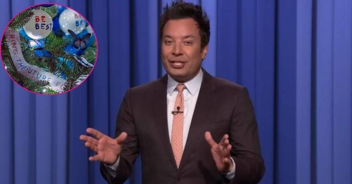 Jimmy Fallon Trolls Melania Trump's Christmas Decorations as He Shocks Crowd With Jeffrey Epstein Jab: Watch