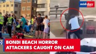 Bondi Beach Shooting: 12 Dead as Gunmen Open Fire; Bystander DISARMS Attacker