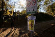 Spanish police and soldiers track boars amid swine fever outbreak