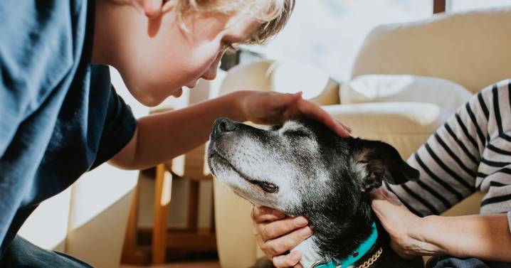 Symptoms of 'serious zoonotic disease' that can spread from dogs to humans