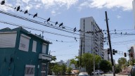 Puerto Rico holds hearings on proposed power bill increases as customers fume and outages persist