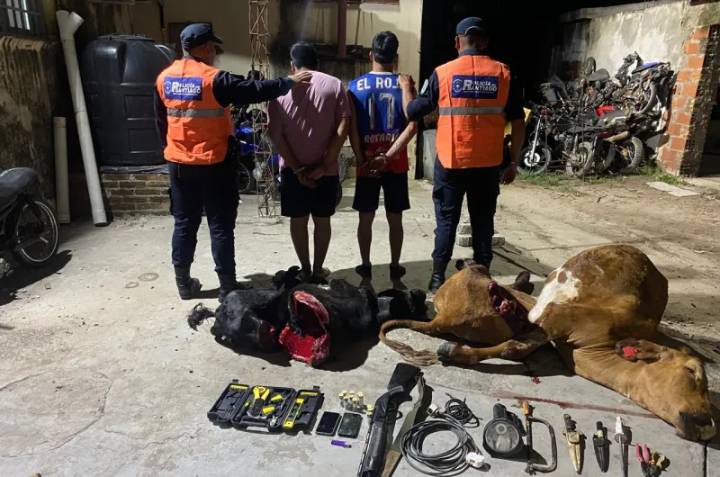 Persecución, faena clandestina y dos detenidos en Pinto: secuestraron un auto con animales muertos y un arma