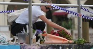 Father and son gunmen kill at least 15 people in attack on Hanukkah event at Sydney's Bondi Beach