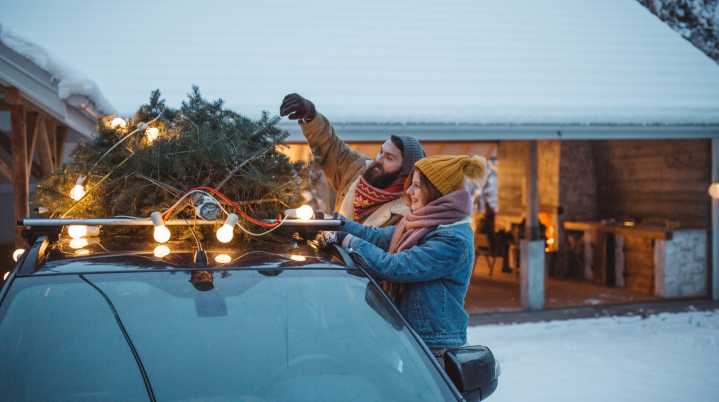 The First Thing To Do When You Get Home With A Christmas Tree For Fuller Branches (& A Cleaner House)