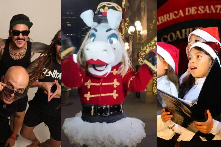 ¿Qué hacer en Saltillo? Genitallica, la Burrita Burrona, Slipknot y ópera llenan de espectáculos las ciudad