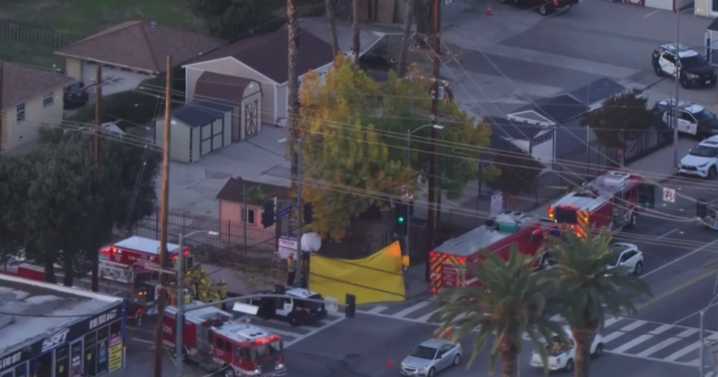 Tree trimmer dies after 35-foot fall in Canoga Park, firefighters say