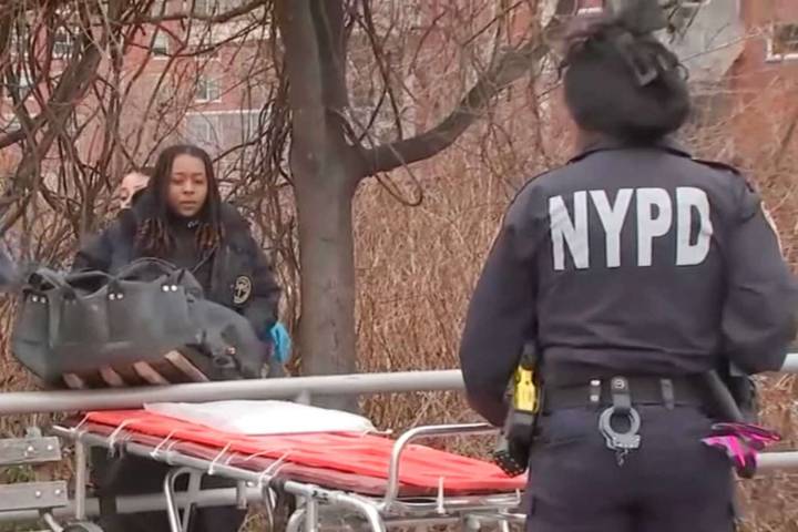 Skeletal Remains, Including Human Skull, Found Off Coney Island Boardwalk