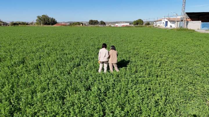 SARGA impulsa su estrategia de captación de talento para afrontar su expansión y los retos del plan 2024