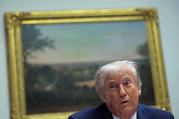 'All that glitters is not gold': Trump's shiny new scheme brutally mocked