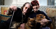 Sharon Osbourne admits agonising Ozzy regret