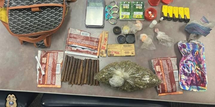 Traffic stop for reckless driving leads to drug bust in La Vergne, police say