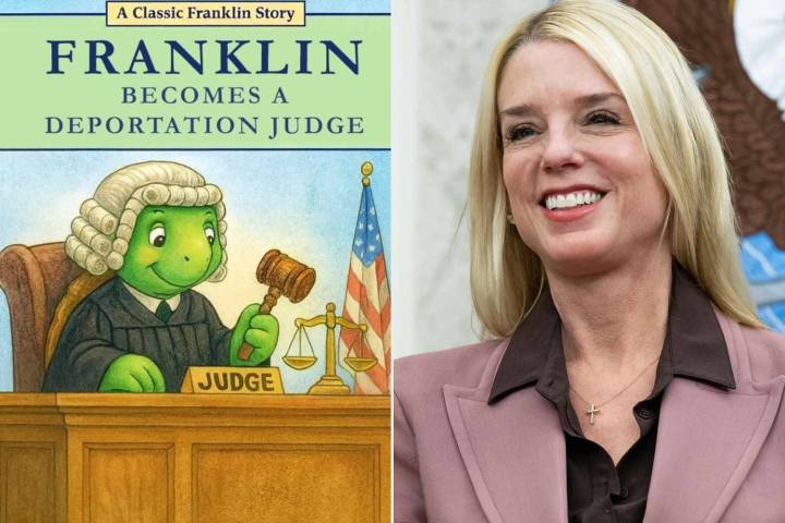 DOJ Shares Image of Franklin the Turtle as ‘Deportation Judge’