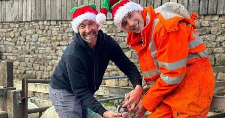 Our Yorkshire Farm fans stunned after Reuben Owen career announcement