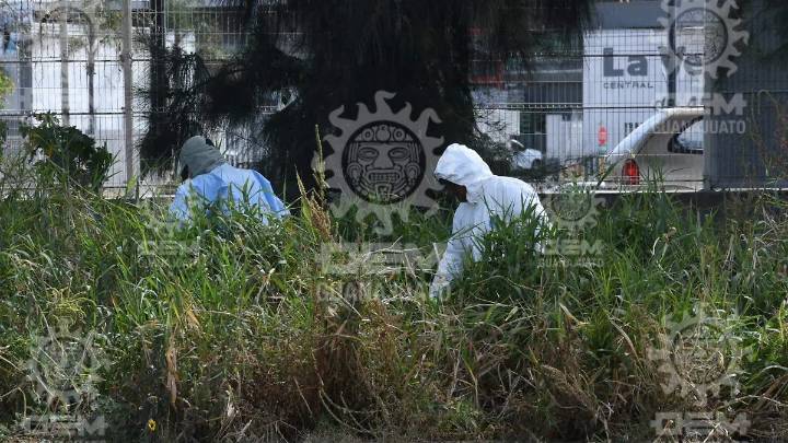 Localizan dos cuerpos en lote baldío de la colonia Juan Pablo II