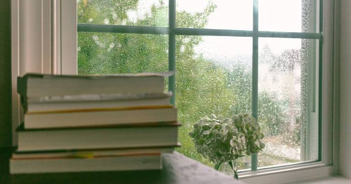 Banish condensation from windows in your home with 1 appliance many already have