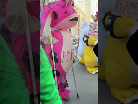 Luigi Mangione back in NYC court for pretrial hearing as fans line streets to show support #shorts