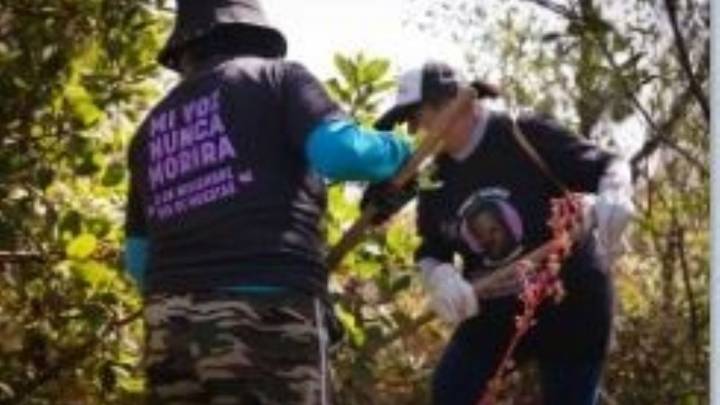 Colectivos hallan 20 restos óseos humanos en zona boscosa de CDMX