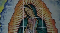 Feligreses en San José honran a la Virgen de Guadalupe – Telemundo Area de la Bahía 48
