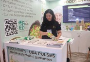 Microempresas de Quintana Roo buscan financiamiento