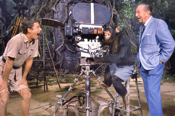 Dick Van Dyke Says He’s Probably the ‘Last Person Alive’ Who Knew the Real Walt Disney