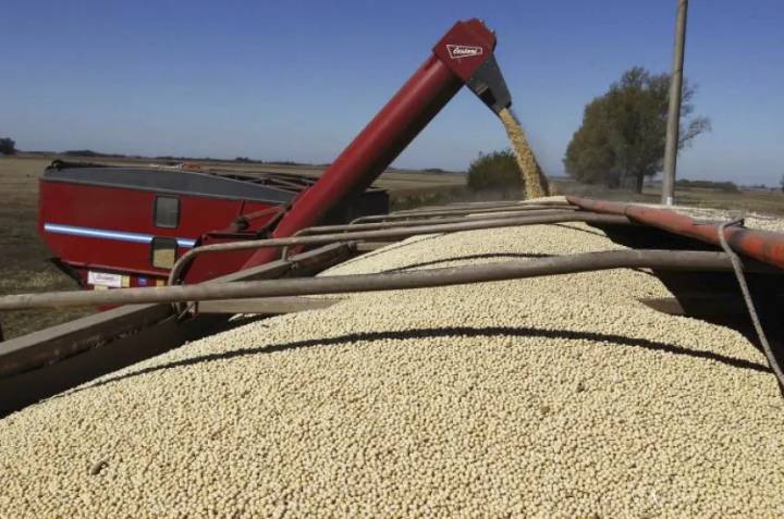 Alivio fiscal al campo: el Gobierno bajó las retenciones a la soja, el trigo, maíz y girasol