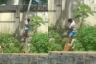 Video impactante. El momento en que una leona atacó a un joven de 19 años y lo mató