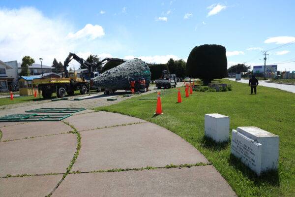 Armado de árbol navideño