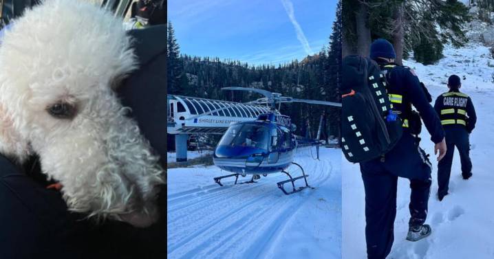 Care Flight Team rescued injured owner and dog in Olympic Valley area