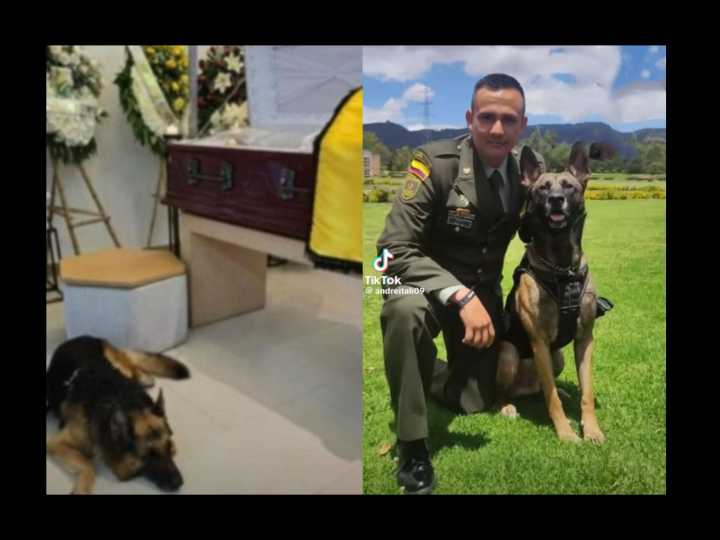 La dolorosa imagen del perro que no dejó solo al intendente Leal en su funeral