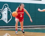 The Must-See 33: Section III girls basketball All