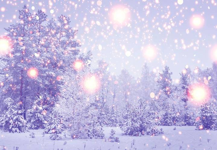 La Feria de Invierno deslumbra con magia a Indianápolis