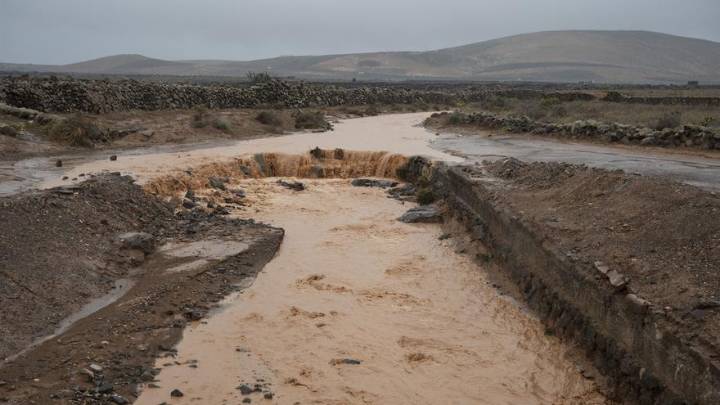 Caída de árboles, cortes de luz y viviendas anegadas en Gran Canaria, Tenerife y Lanzarote