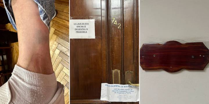 Gritos, forcejeos y polémica con una senadora kirchnerista que denunció que le bloquearon el acceso a su despacho