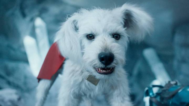 What’s Wrong With Krypto In The Supergirl Trailer?