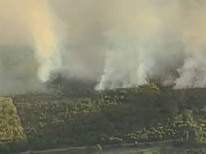Bajo control incendio forestal en Uruguay