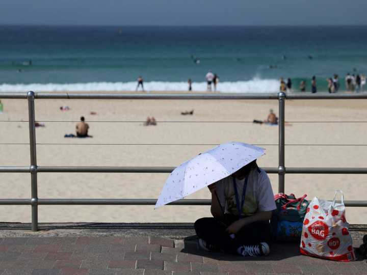 Mass shooting at Sydney's Bondi Beach leaves ten dead,...