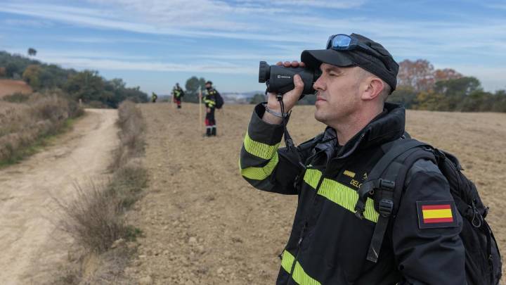 Europa amplía el perímetro de zona infectada por la peste porcina africana a 91 municipios