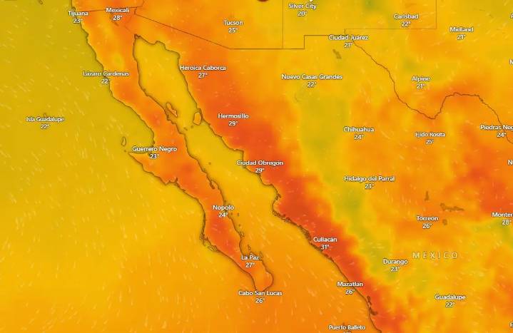 Clima en La Paz y Los Cabos para el viernes 12 de diciembre de 2025