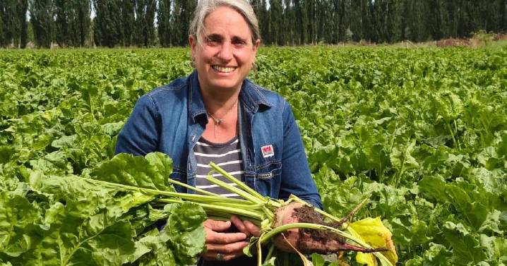 «Un hallazgo impensado»: trajo al país el cultivo con el que lograron 4.000 kilos de carne por hectárea