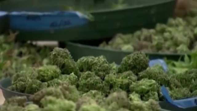 Nebraska Supreme Court hears medical marijuana ballot measure case