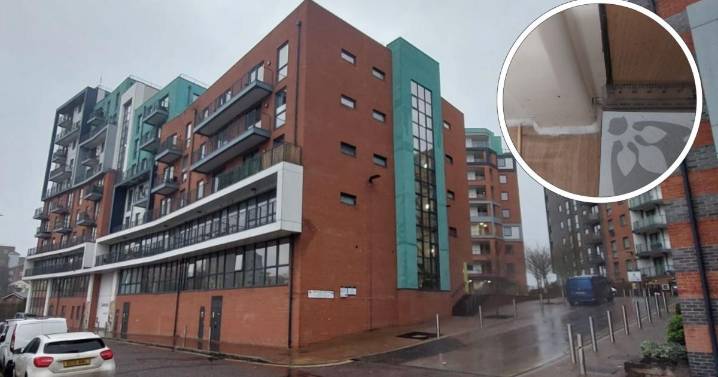 Avalon Court in Ipswich has fire-proof doors issue